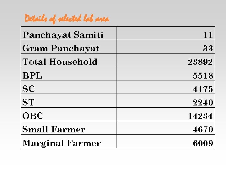 Details of selected lab area Panchayat Samiti 11 Gram Panchayat 33 Total Household 23892