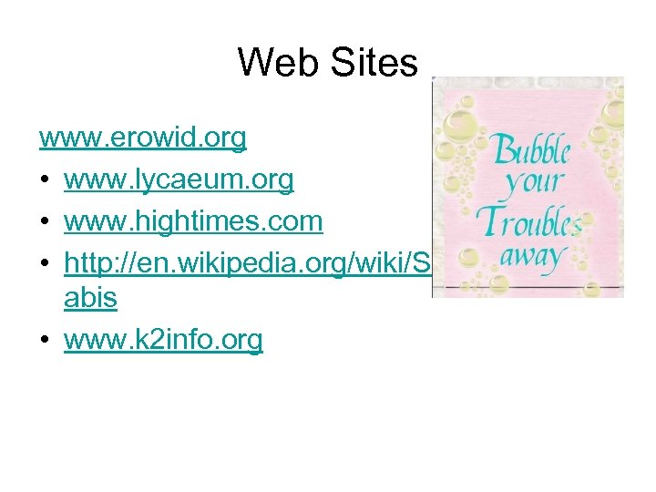 Web Sites www. erowid. org • www. lycaeum. org • www. hightimes. com •