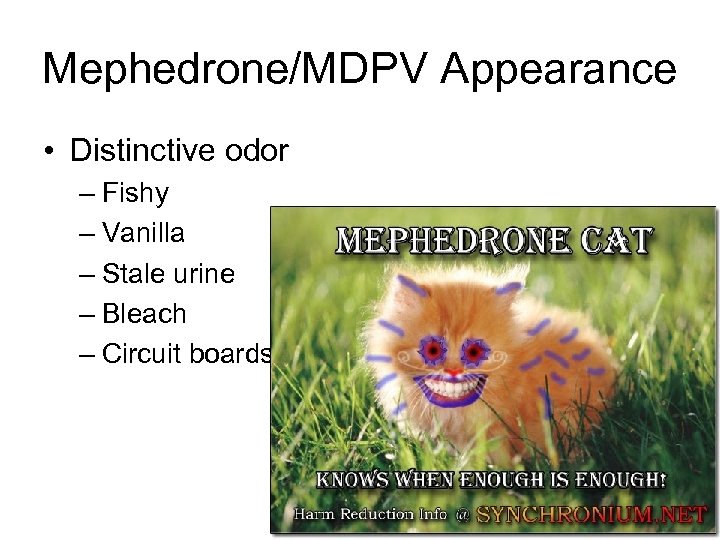 Mephedrone/MDPV Appearance • Distinctive odor – Fishy – Vanilla – Stale urine – Bleach