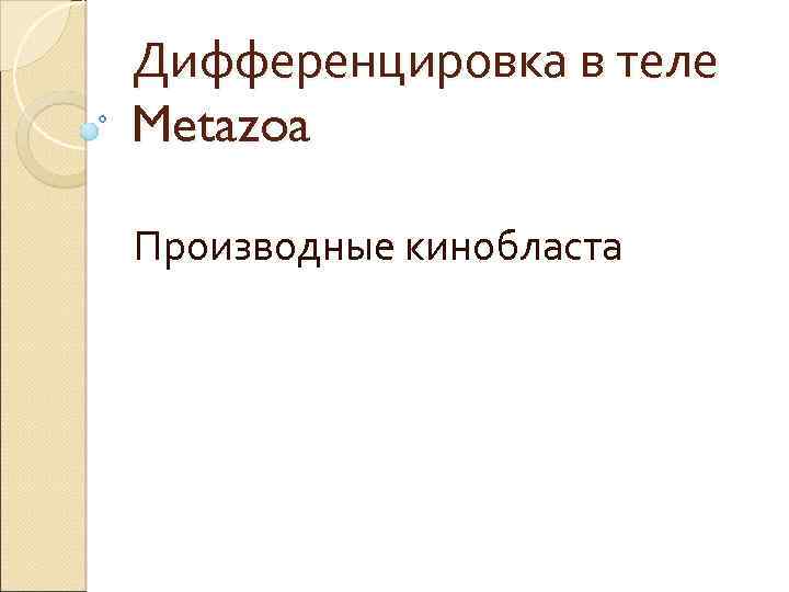 Дифференцировка в теле Metazoa Производные кинобласта 
