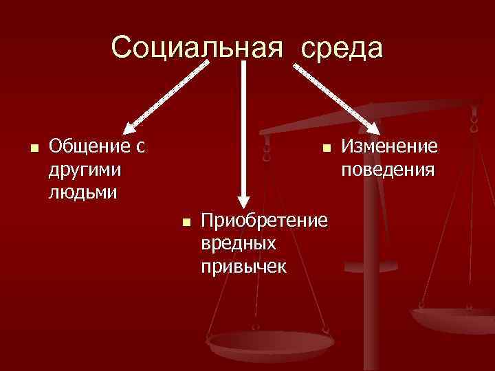 Социальная среда n Общение с другими людьми n n Приобретение вредных привычек Изменение поведения