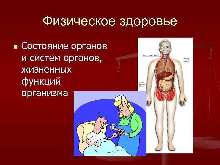 Физическое здоровье n Состояние органов и систем органов, жизненных функций организма 