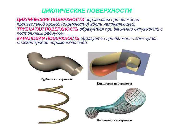 ЦИКЛИЧЕСКИЕ ПОВЕРХНОСТИ образованы при движении произвольной кривой (окружности) вдоль направляющей. ТРУБЧАТАЯ ПОВЕРХНОСТЬ образуется при