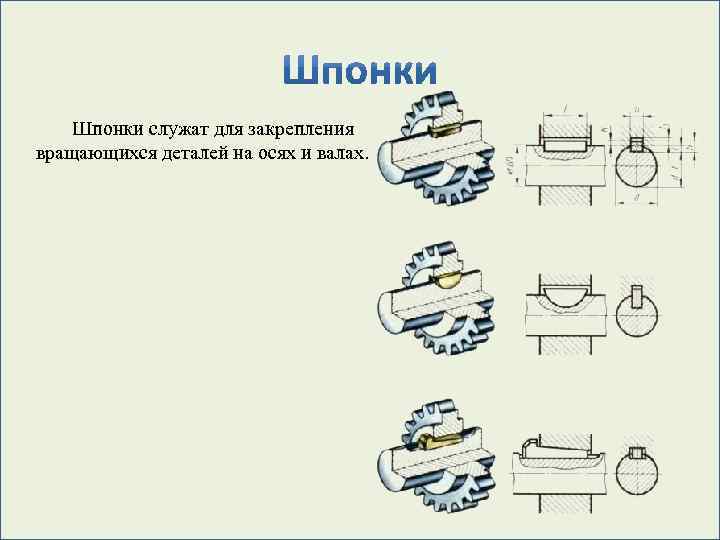 Шпонки служат для закрепления вращающихся деталей на осях и валах. 