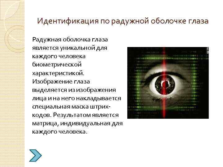 Биометрические категории персональных данных. Как происходит идентификация по радужной оболочке глаза. Биометрическая защита по радужной оболочке. Биометрический Интерфейс. Биометрический контроль Радужная оболочка.