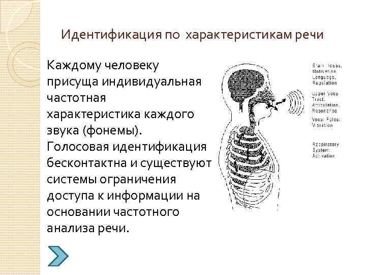 Идентификация по характеристикам речи Каждому человеку присуща индивидуальная частотная характеристика каждого звука (фонемы). Голосовая