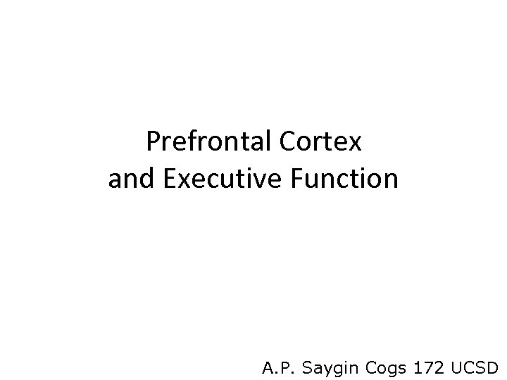 Prefrontal Cortex and Executive Function A. P. Saygin Cogs 172 UCSD 