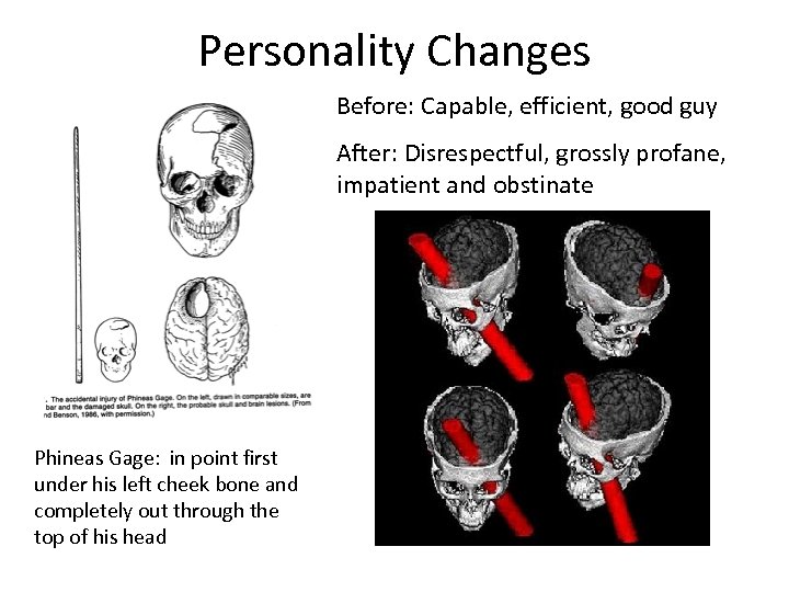 Personality Changes Before: Capable, efficient, good guy After: Disrespectful, grossly profane, impatient and obstinate