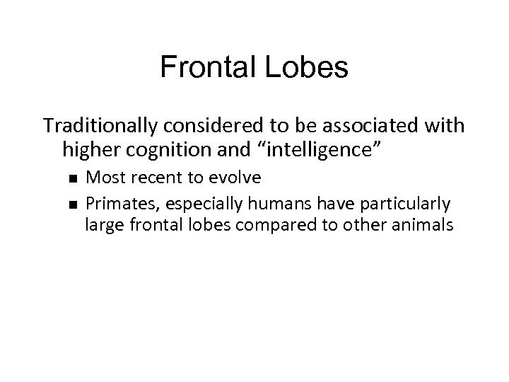 Frontal Lobes Traditionally considered to be associated with higher cognition and “intelligence” n n