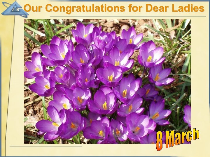 Our Congratulations for Dear Ladies 