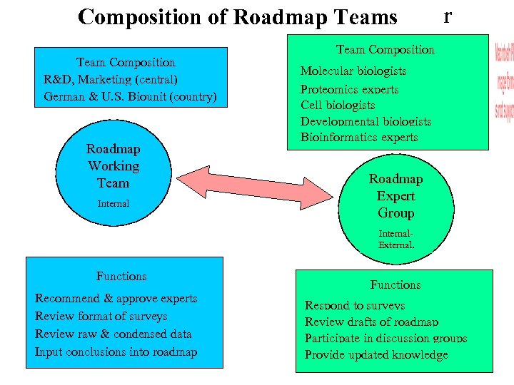 Composition of Roadmap Teams Team Composition R&D, Marketing (central) German & U. S. Biounit
