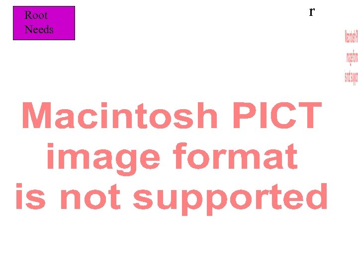 Root Needs r 