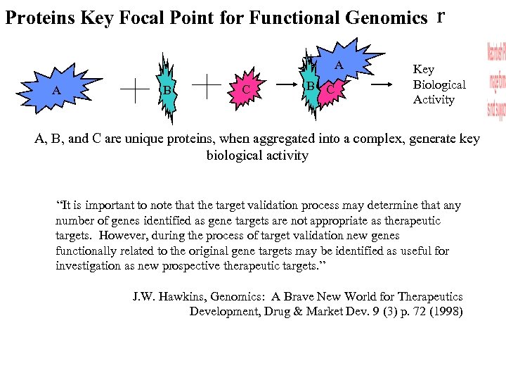 Proteins Key Focal Point for Functional Genomics r A A B C Key Biological
