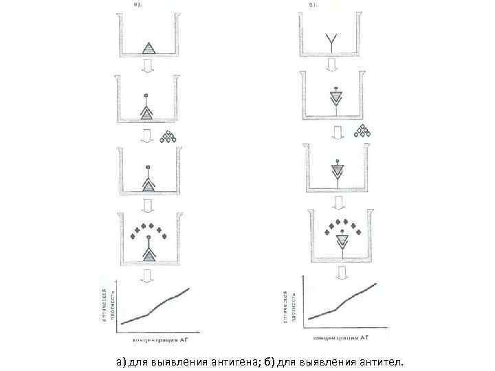 а) для выявления антигена; б) для выявления антител. 