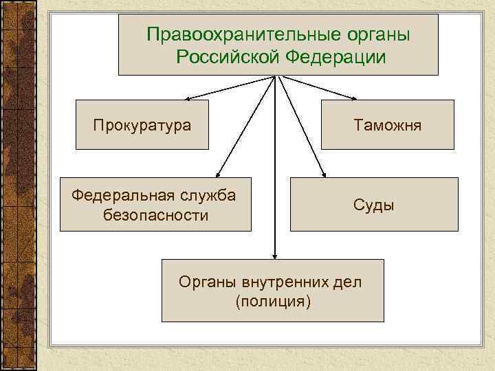 Правоохранительные органы Российской Федерации Прокуратура Федеральная служба безопасности Таможня Суды Органы внутренних дел (полиция)