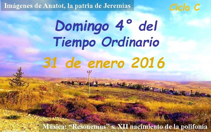 Imágenes de Anatot, la patria de Jeremías Ciclo C Domingo 4° del Tiempo Ordinario