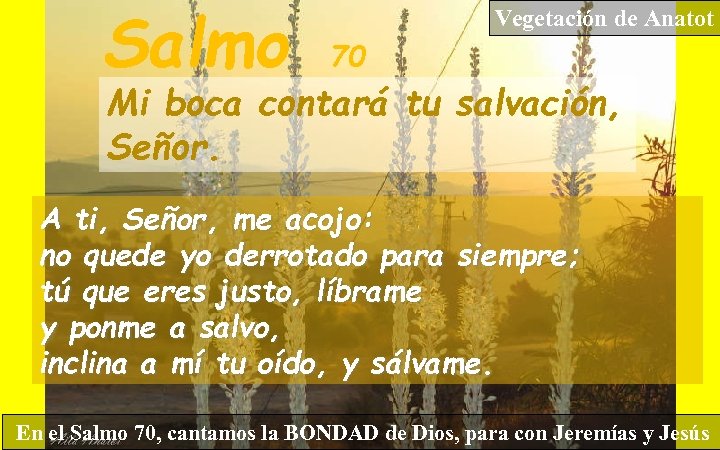 Salmo Vegetación de Anatot 70 Mi boca contará tu salvación, Señor. A ti, Señor,