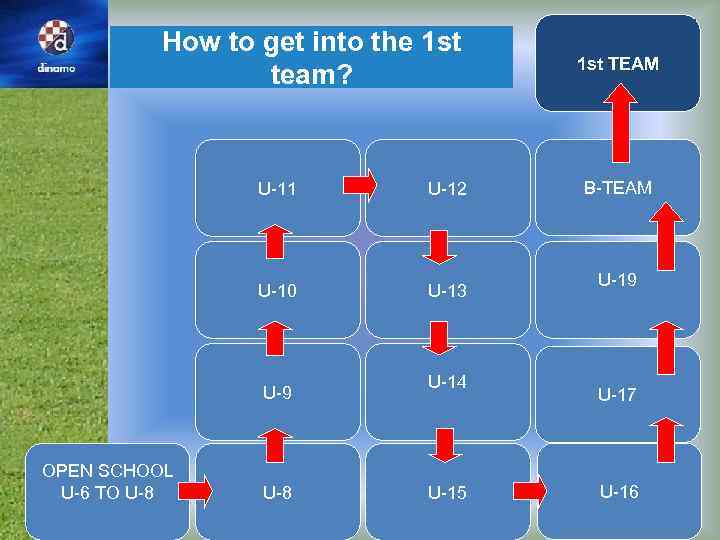 How to get into the 1 st team? U-11 U-12 U-10 U-13 U-9 OPEN