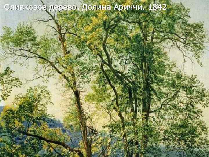 Оливковое дерево. Долина Ариччи. 1842 