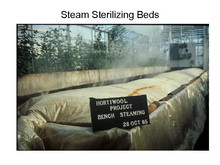 Steam Sterilizing Beds 