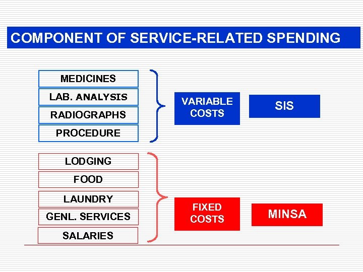 COMPONENT OF SERVICE-RELATED SPENDING MEDICINES LAB. ANALYSIS RADIOGRAPHS VARIABLE COSTS SIS FIXED COSTS MINSA