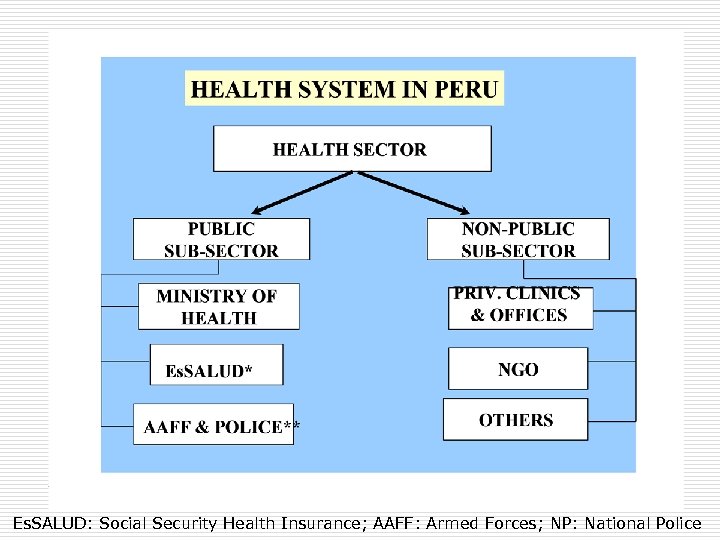 Es. SALUD: Social Security Health Insurance; AAFF: Armed Forces; NP: National Police 