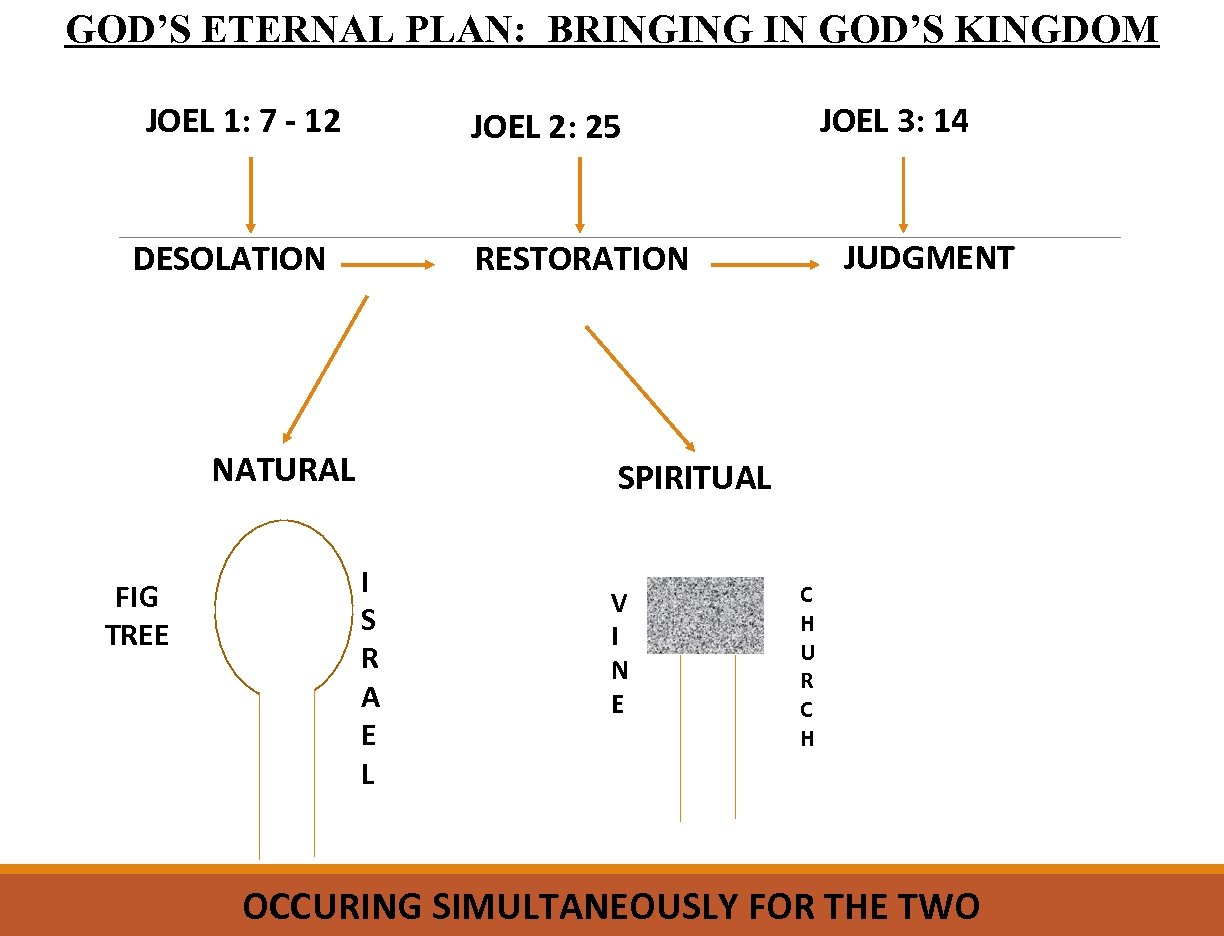 GOD’S ETERNAL PLAN: BRINGING IN GOD’S KINGDOM JOEL 1: 7 - 12 DESOLATION JUDGMENT