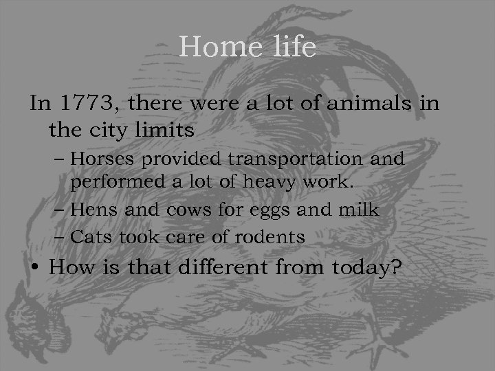 Home life In 1773, there were a lot of animals in the city limits