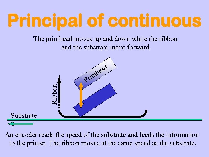 Principal of continuous The printhead moves up and down while the ribbon and the