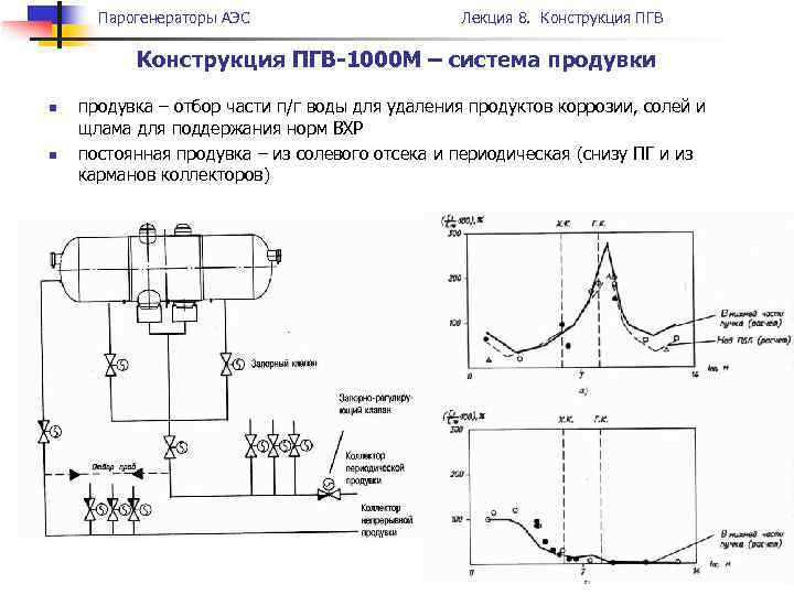 Парогенераторы АЭС Лекция 8. Конструкция ПГВ-1000 М – система продувки n n продувка –