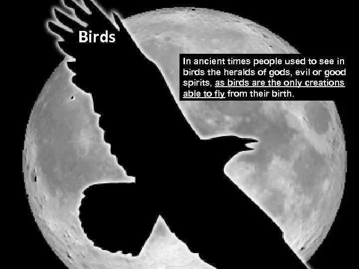 Birds In ancient times people used to see in birds the heralds of gods,