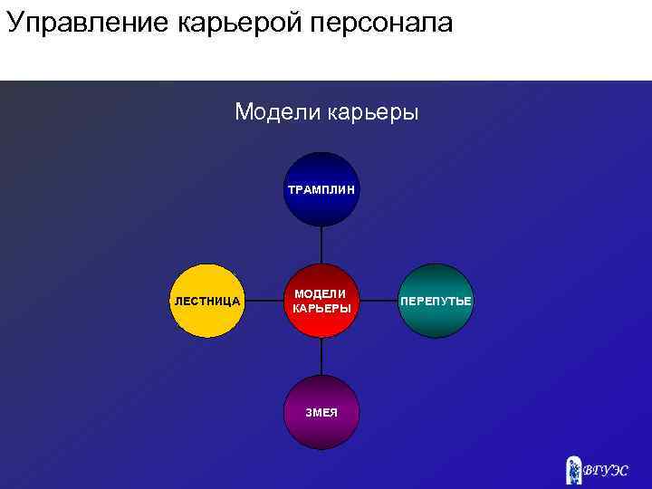 Управление карьерой персонала Модели карьеры ТРАМПЛИН ЛЕСТНИЦА МОДЕЛИ КАРЬЕРЫ ЗМЕЯ ПЕРЕПУТЬЕ 