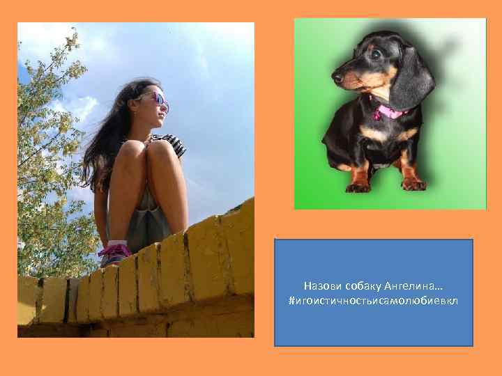 Назови собаку Ангелина… #игоистичностьисамолюбиевкл 