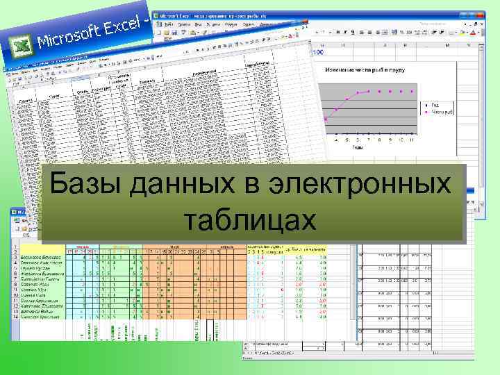 Базы данных в электронных таблицах 