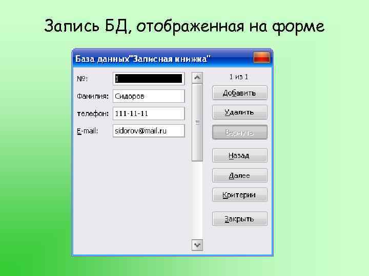 Запись БД, отображенная на форме 