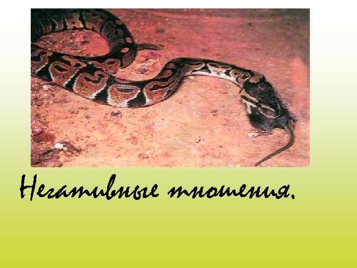 Негативные тношения. 