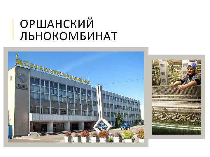 ОРШАНСКИЙ ЛЬНОКОМБИНАТ 