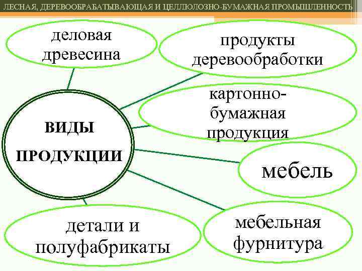 ЛЕСНАЯ, ДЕРЕВООБРАБАТЫВАЮЩАЯ И ЦЕЛЛЮЛОЗНО-БУМАЖНАЯ ПРОМЫШЛЕННОСТЬ деловая древесина ВИДЫ ПРОДУКЦИИ детали и полуфабрикаты продукты деревообработки