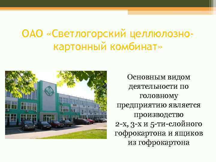 ОАО «Светлогорский целлюлознокартонный комбинат» Основным видом деятельности по головному предприятию является производство 2 -х,