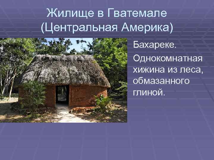 Жилище в Гватемале (Центральная Америка) Бахареке. Однокомнатная хижина из леса, обмазанного глиной. 