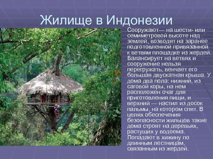 Жилище в Индонезии Сооружают— на шести- или семиметровой высоте над землей, возводят на заранее