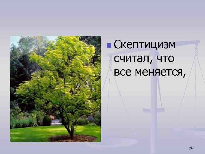 n Скептицизм считал, что все меняется, 24 