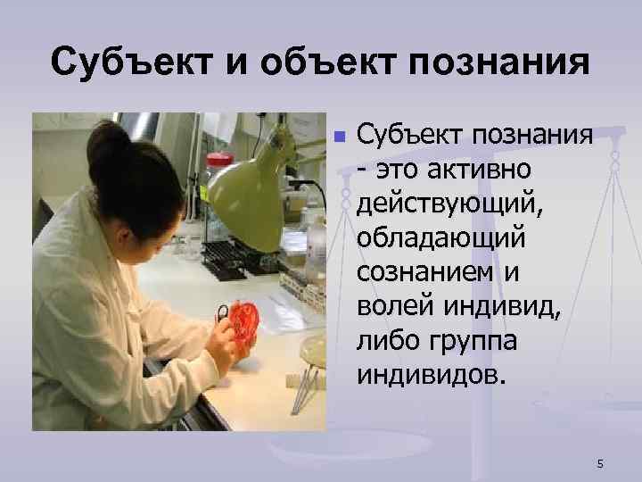 Субъект и объект познания n Субъект познания - это активно действующий, обладающий сознанием и