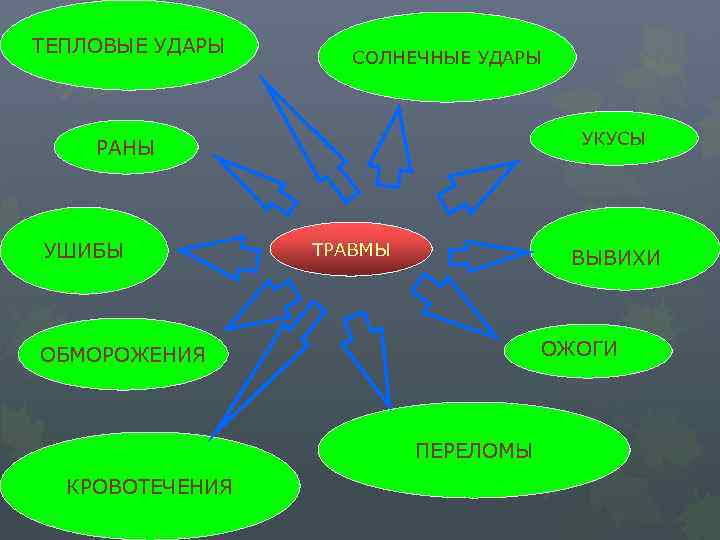 ТЕПЛОВЫЕ УДАРЫ СОЛНЕЧНЫЕ УДАРЫ УКУСЫ РАНЫ УШИБЫ ТРАВМЫ ВЫВИХИ ОЖОГИ ОБМОРОЖЕНИЯ ПЕРЕЛОМЫ КРОВОТЕЧЕНИЯ 