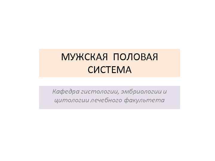 МУЖСКАЯ ПОЛОВАЯ СИСТЕМА Кафедра гистологии, эмбриологии и цитологии лечебного факультета 