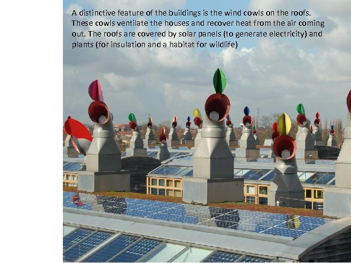 A distinctive feature of the buildings is the wind cowls on the roofs. These