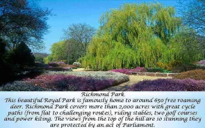 Richmond Park This beautiful Royal Park is famously home to around 650 free roaming