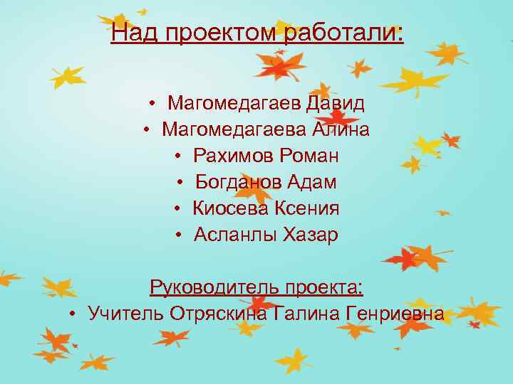 Над проектом работали: • Магомедагаев Давид • Магомедагаева Алина • Рахимов Роман • Богданов
