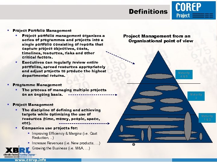 Definitions § Project Portfolio Management § Project portfolio management organizes a series of programmes