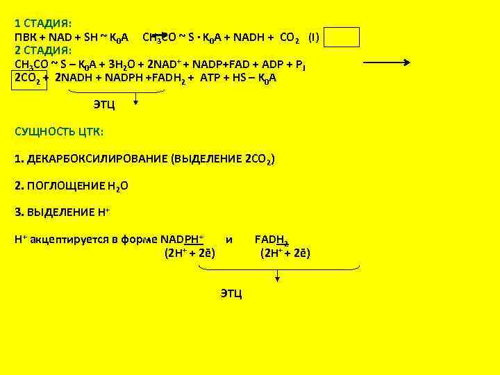 1 СТАДИЯ: ПВК + NAD + SH ~ K 0 A CH 3 CO